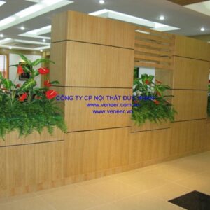 Vách ngăn ốp veneer Đức Khang DKVO001