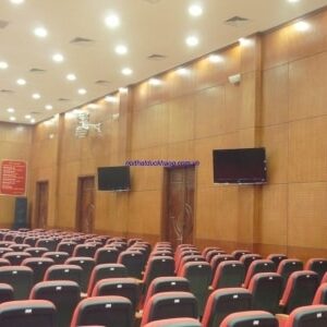 Ốp gỗ Veneer tiêu âm Đức Khang TA009