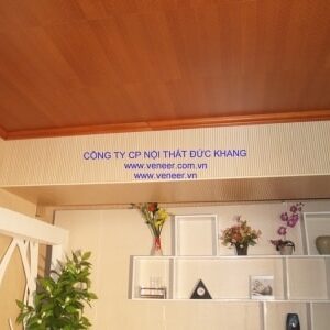 Ốp gỗ Veneer tiêu âm Đức Khang TA013