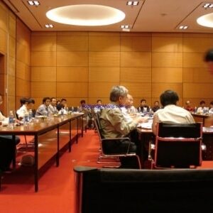 Ốp gỗ Veneer tiêu âm Đức Khang TA008