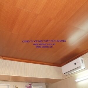 Ốp gỗ Veneer tiêu âm Đức Khang TA023