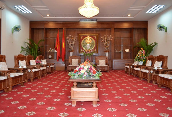 Trang trí phòng khánh tiết nên chọn nhiều loại cây để bớt sự căng thẳng và tăng gần gũi hơn