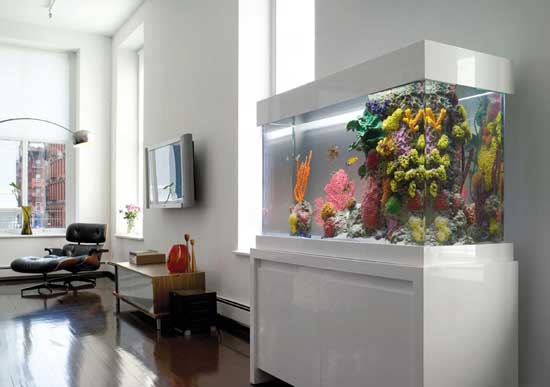 Bài trí không gian sống cho người mệnh Thủy theo phong thủy