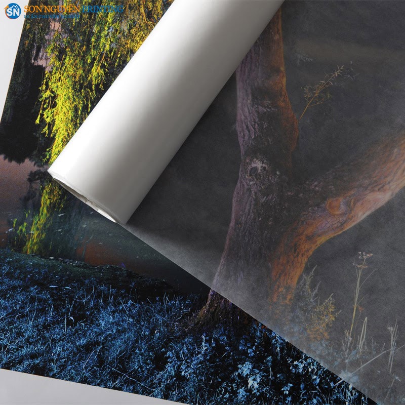 Giấy Glassine được dùng để bảo vệ ảnh