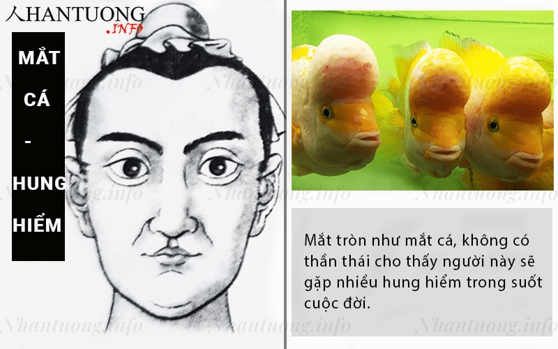 Luận giải vận mệnh người tướng mắt cá - Nhantuong.info